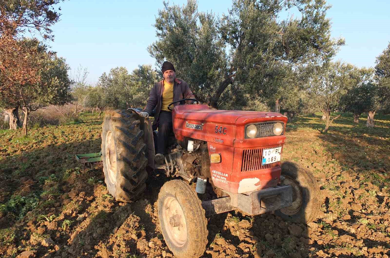 Balıkesir’de zeytinliklerde sürüm başladı
