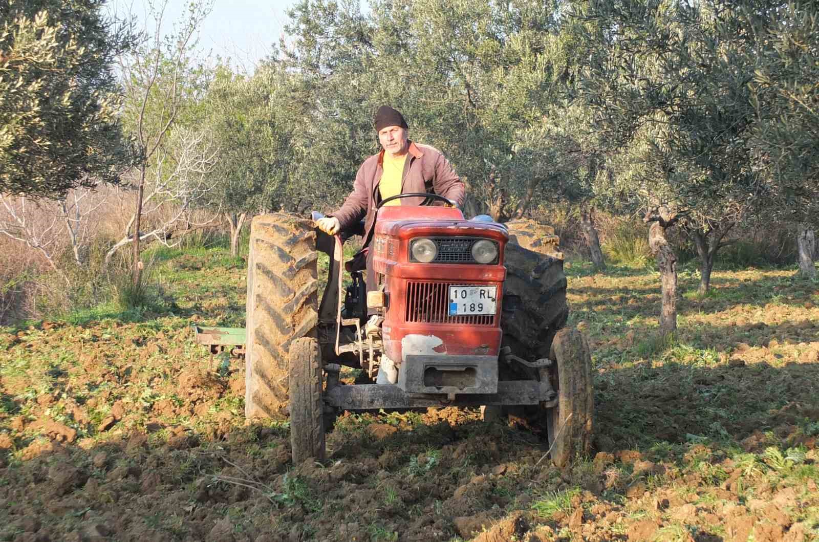 Balıkesir’de zeytinliklerde sürüm başladı
