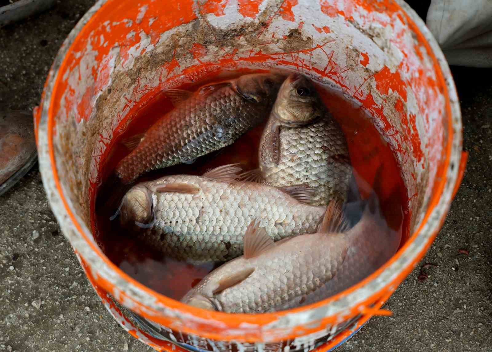 Baraj kapakları açıldı, onlarca balıkçı nehre akın etti
Baraj kapakları açıldı, onlarca balıkçı nehre akın etti