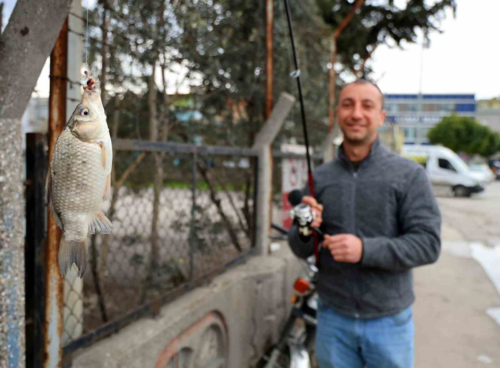 Baraj kapakları açıldı, onlarca balıkçı nehre akın etti
Baraj kapakları açıldı, onlarca balıkçı nehre akın etti