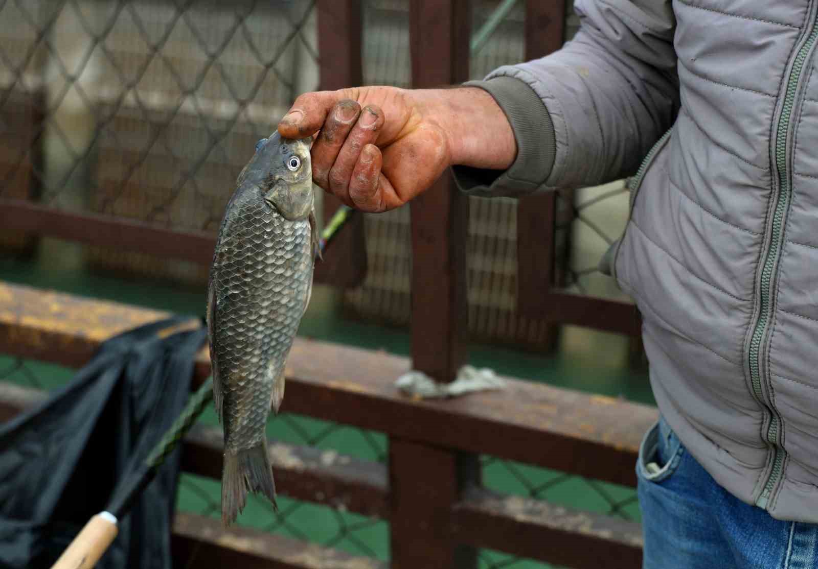 Baraj kapakları açıldı, onlarca balıkçı nehre akın etti
Baraj kapakları açıldı, onlarca balıkçı nehre akın etti
