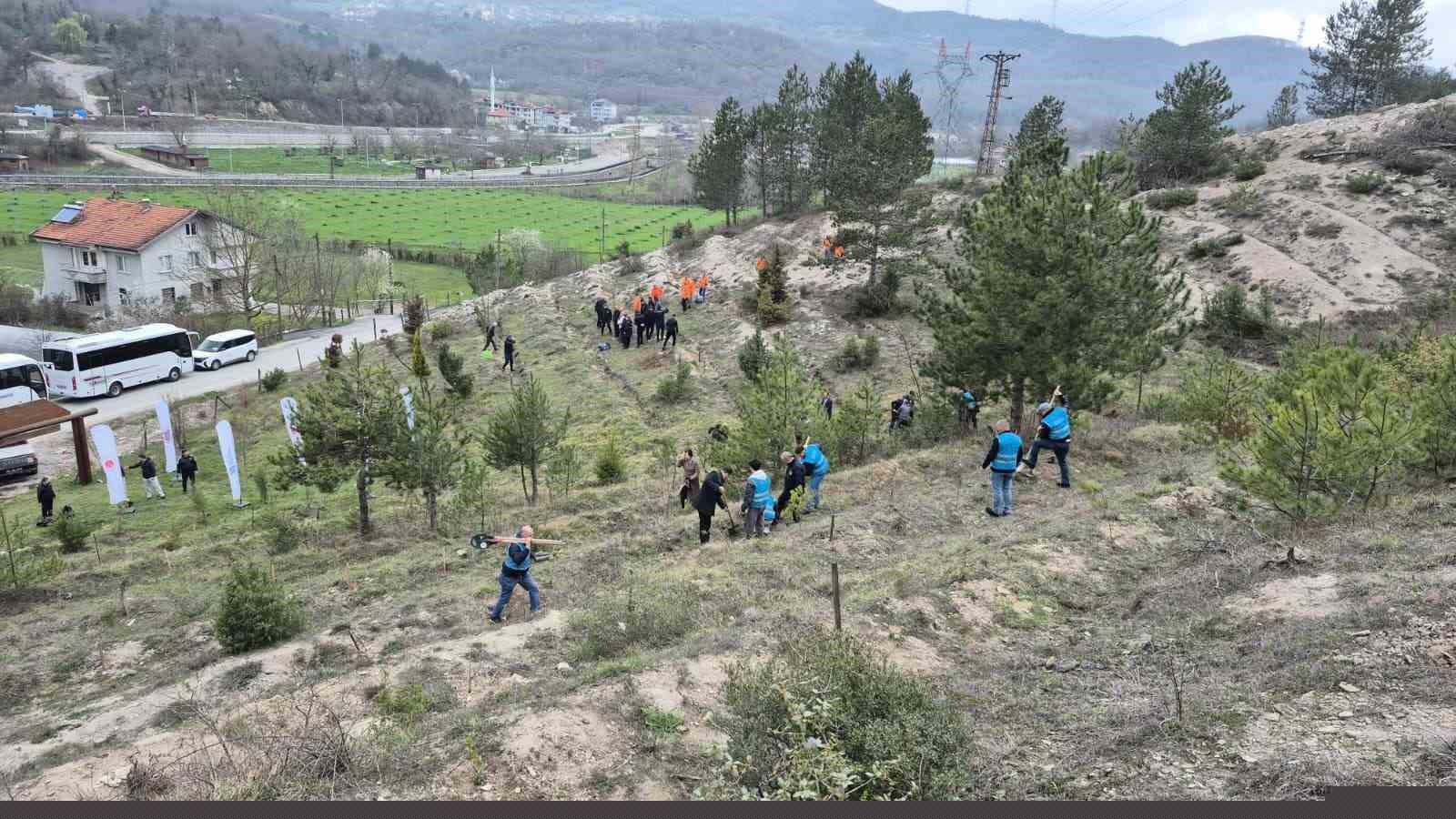 Bartın’da hükümlüler fidan dikti

