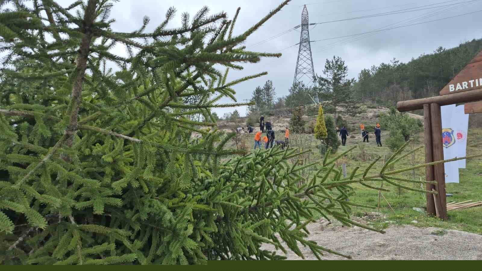 Bartın’da hükümlüler fidan dikti
