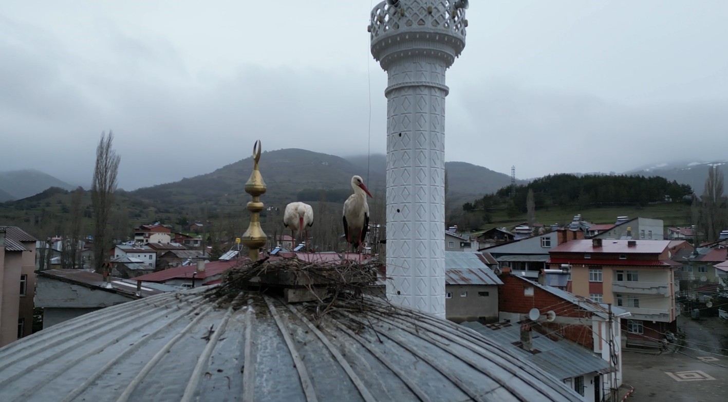 Başçiftlik’te leylekler 25 yıl sonra geri döndü
