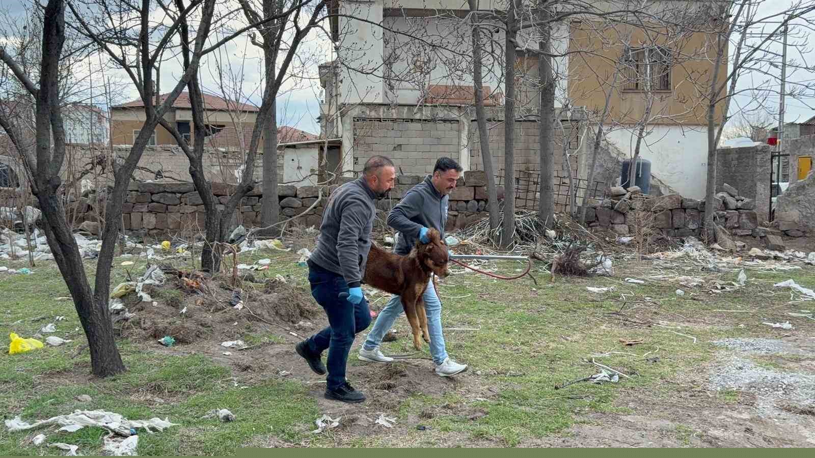 Başıboş köpeğin saldırdığı 3 yaşındaki çocuk ağır yaralandı

