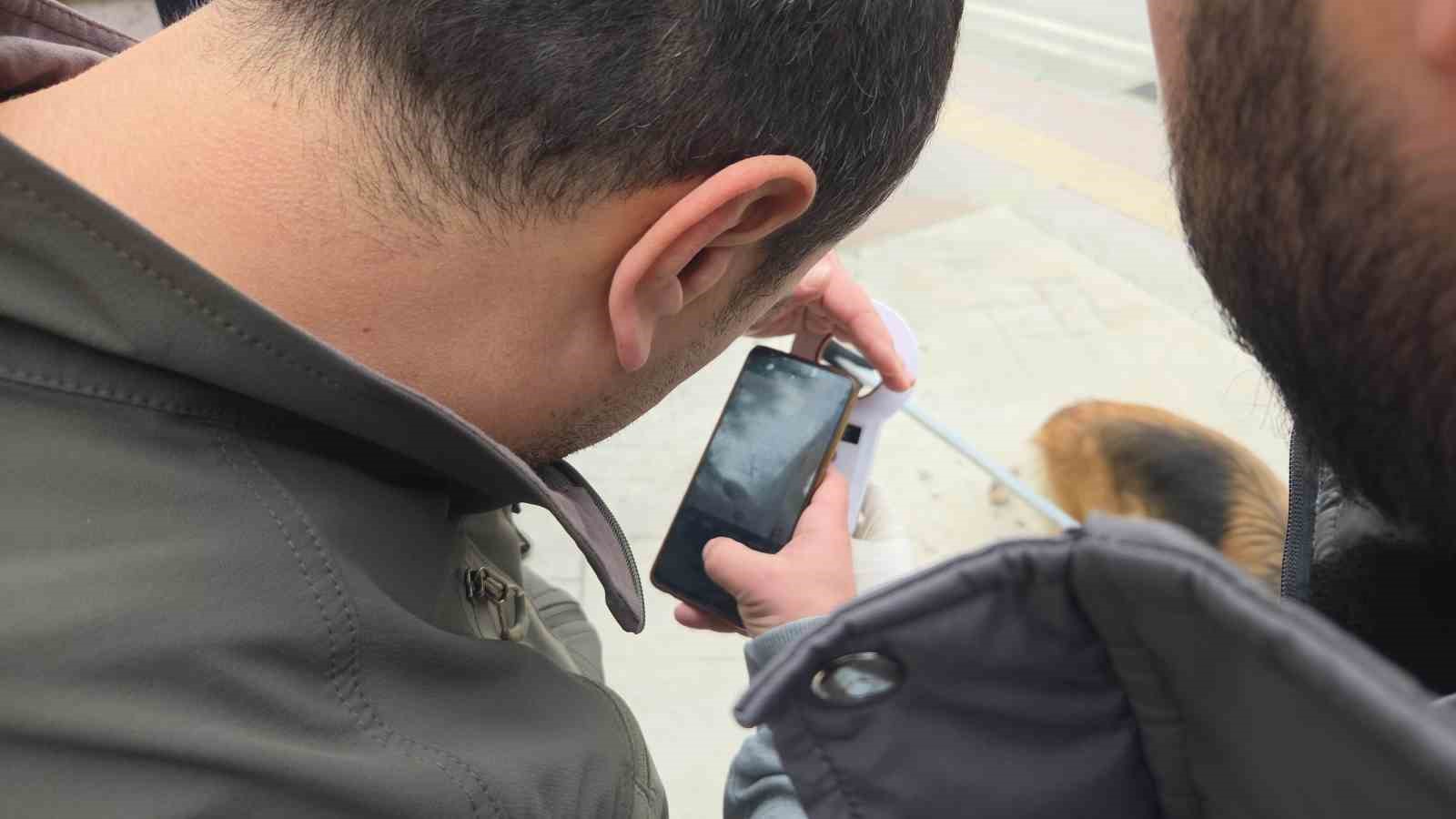 Başıboş sokak köpekleri toplanarak barınağa götürüldü
