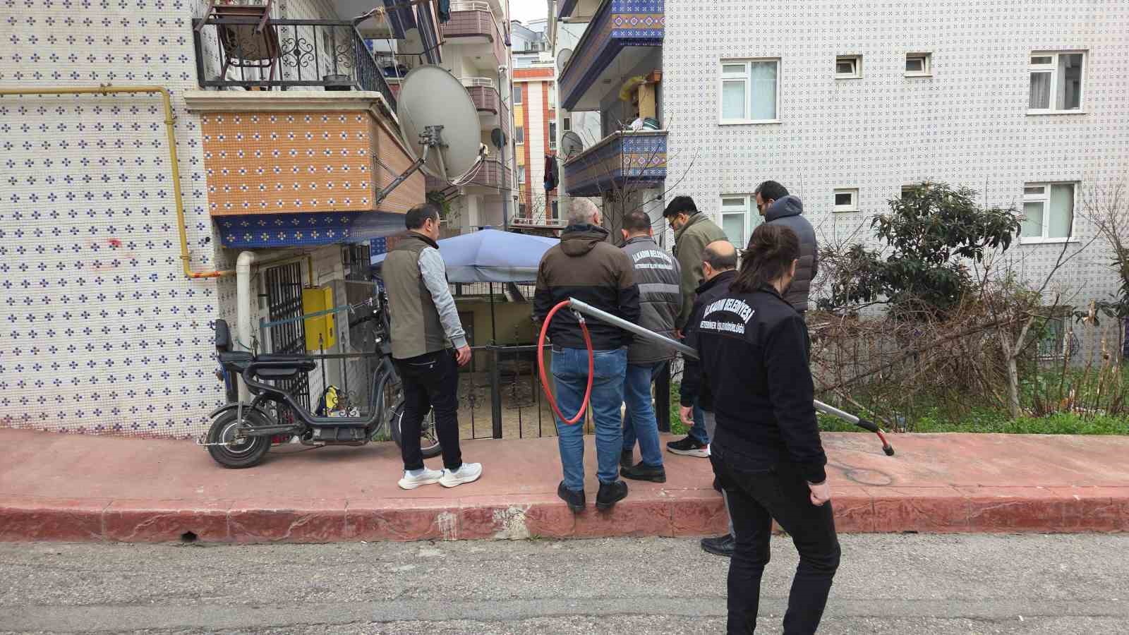 Başıboş sokak köpekleri toplanarak barınağa götürüldü
