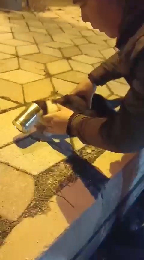 Başına konserve sıkışan kedi kurtarıldı
