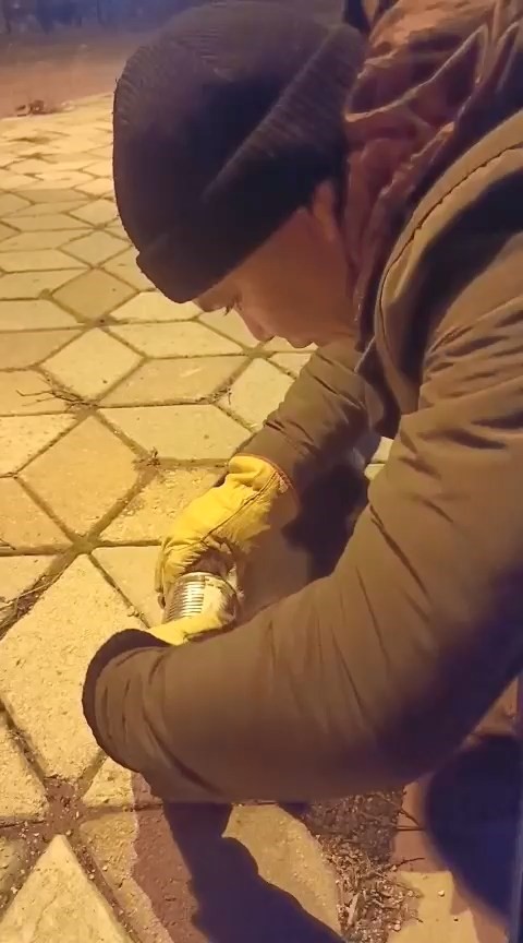 Başına konserve sıkışan kedi kurtarıldı
