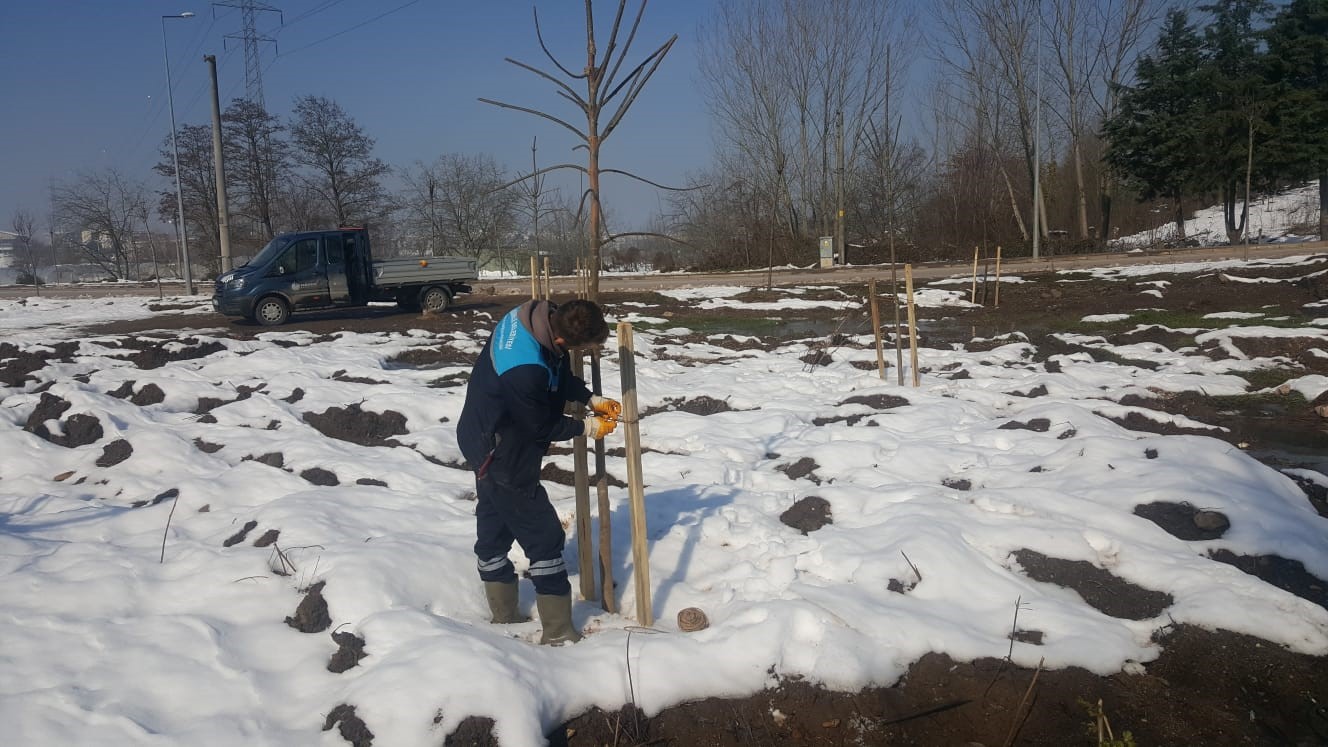 Başiskele’de yeşil alan çalışmaları devam ediyor
