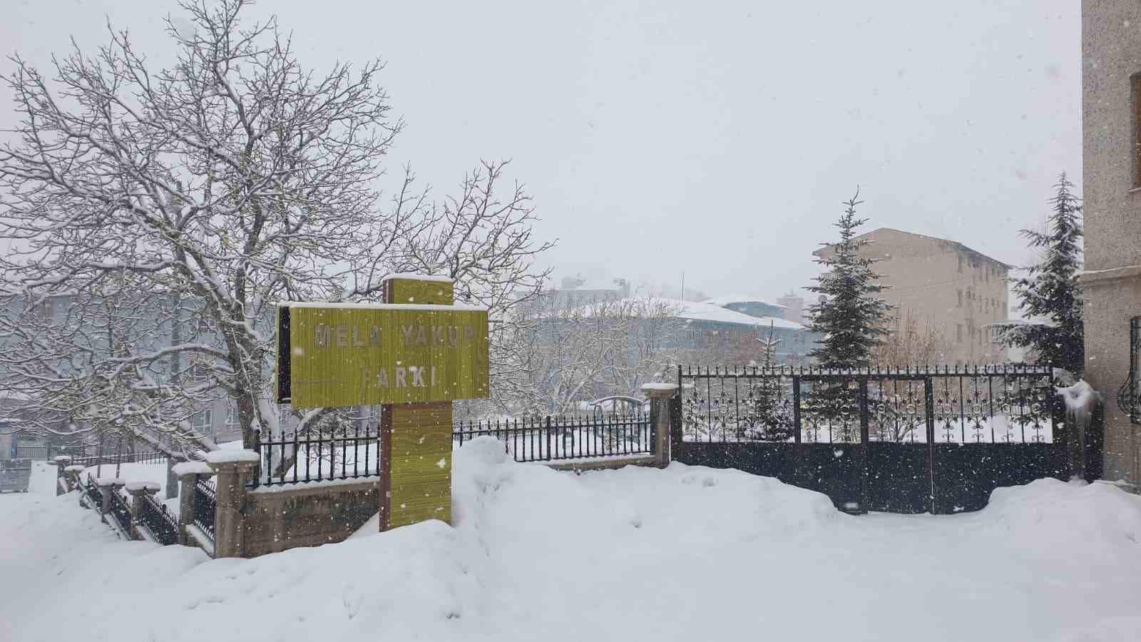 Başkale’de kar yağışı
