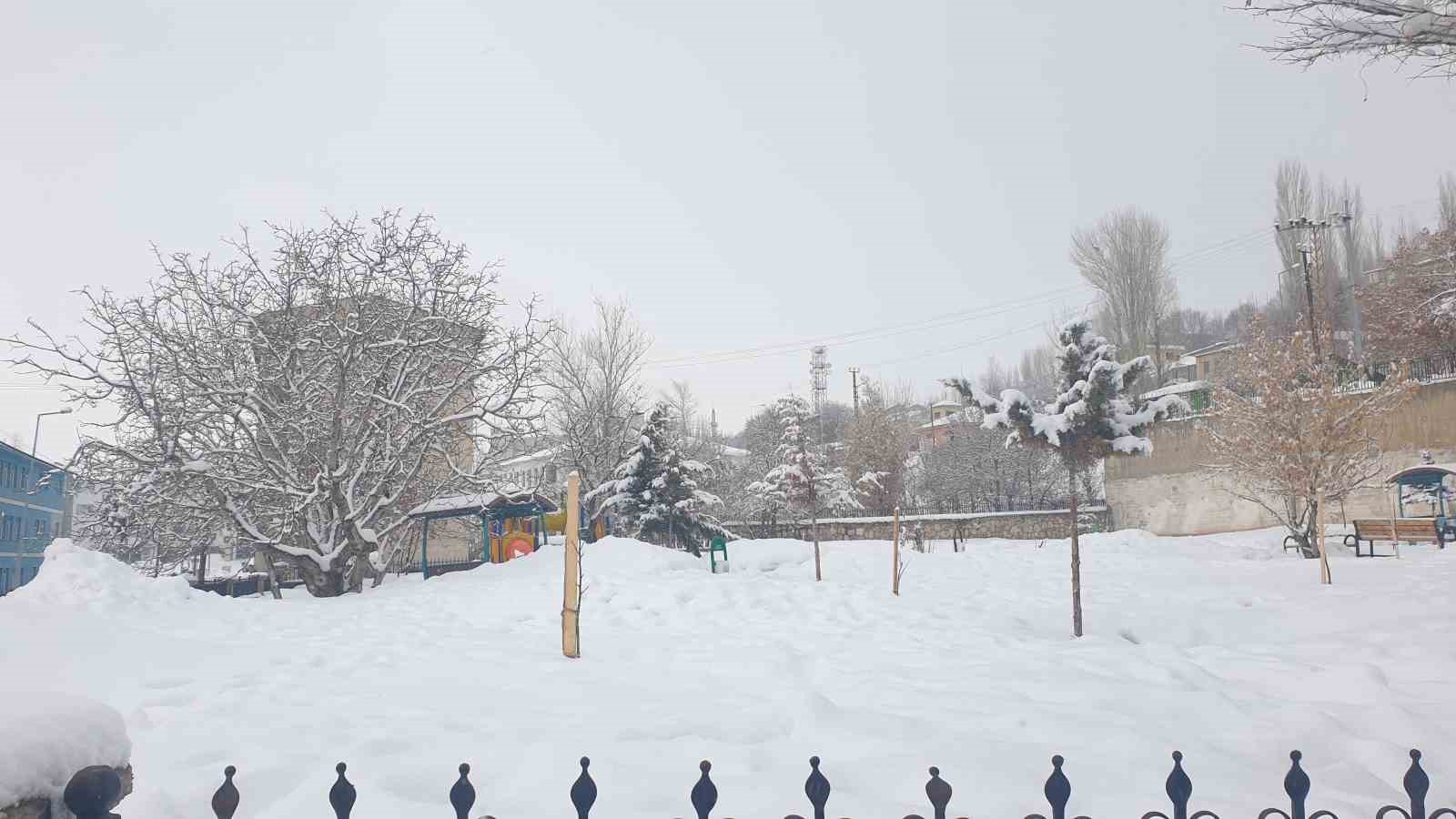 Başkale’de kar yağışı
