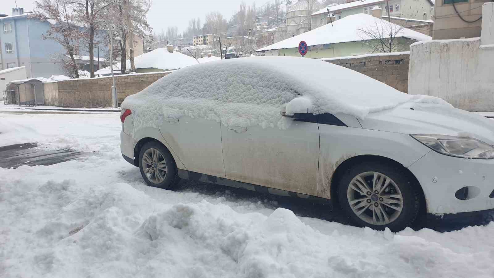 Başkale’de kar yağışı
