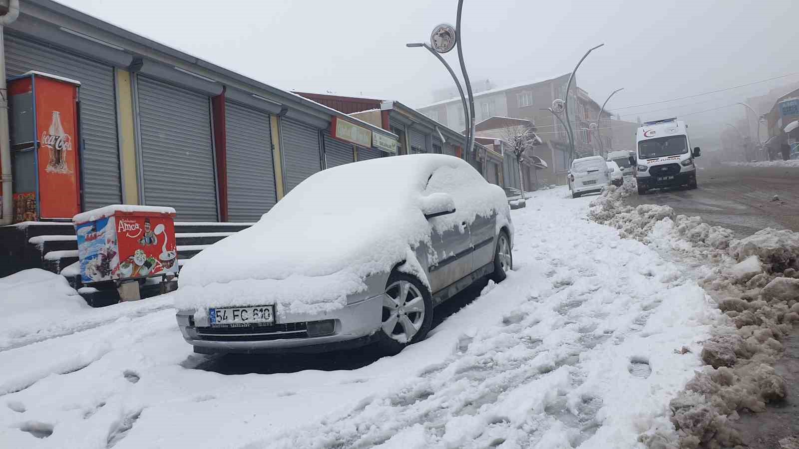 Başkale’de kar yağışı
