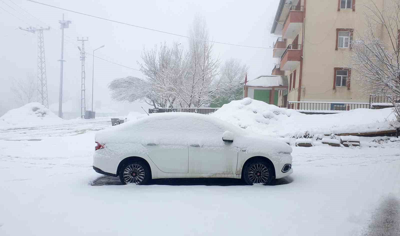 Başkale’de kar yağışı
