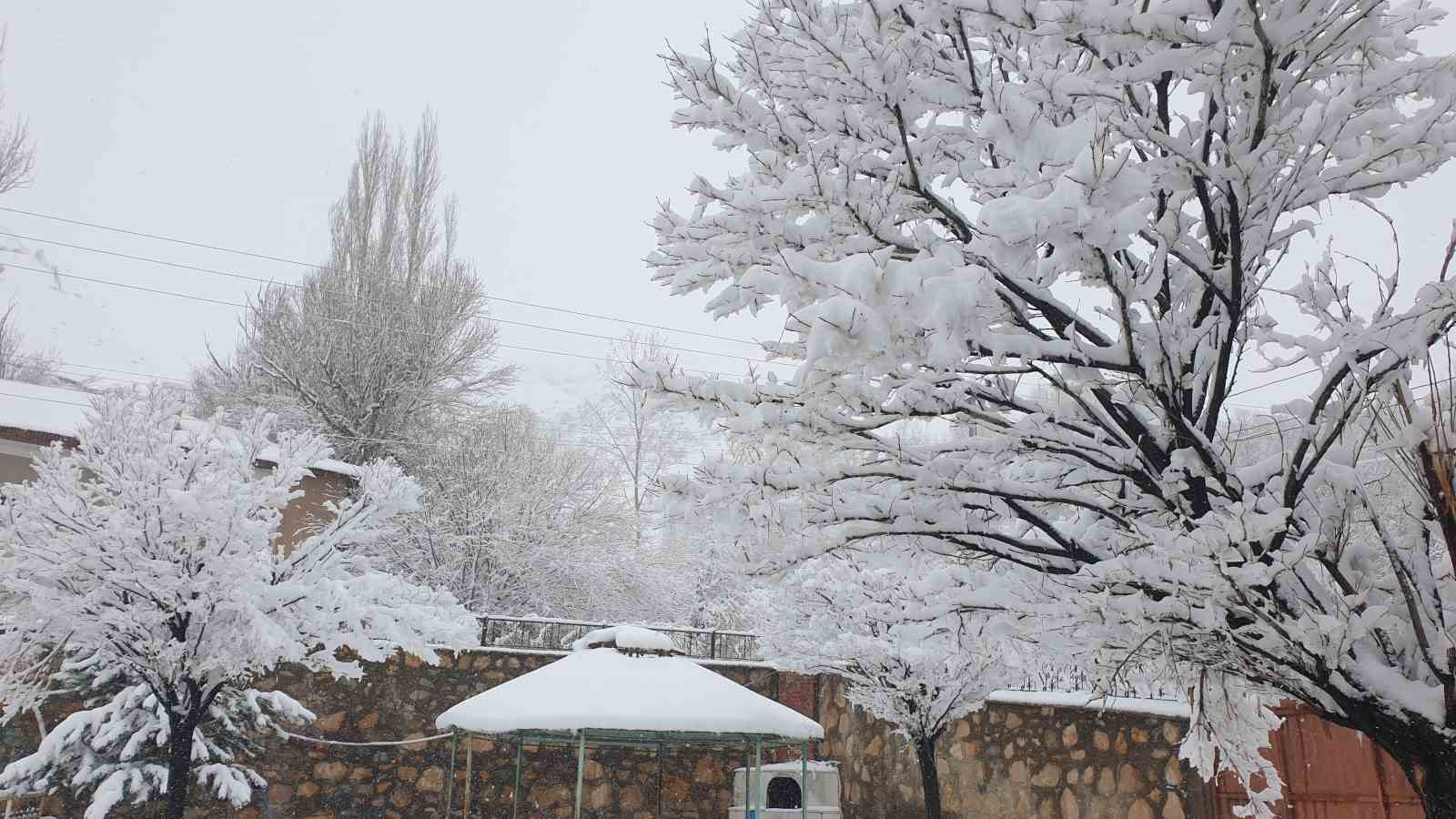 Başkale’de kar yağışı
