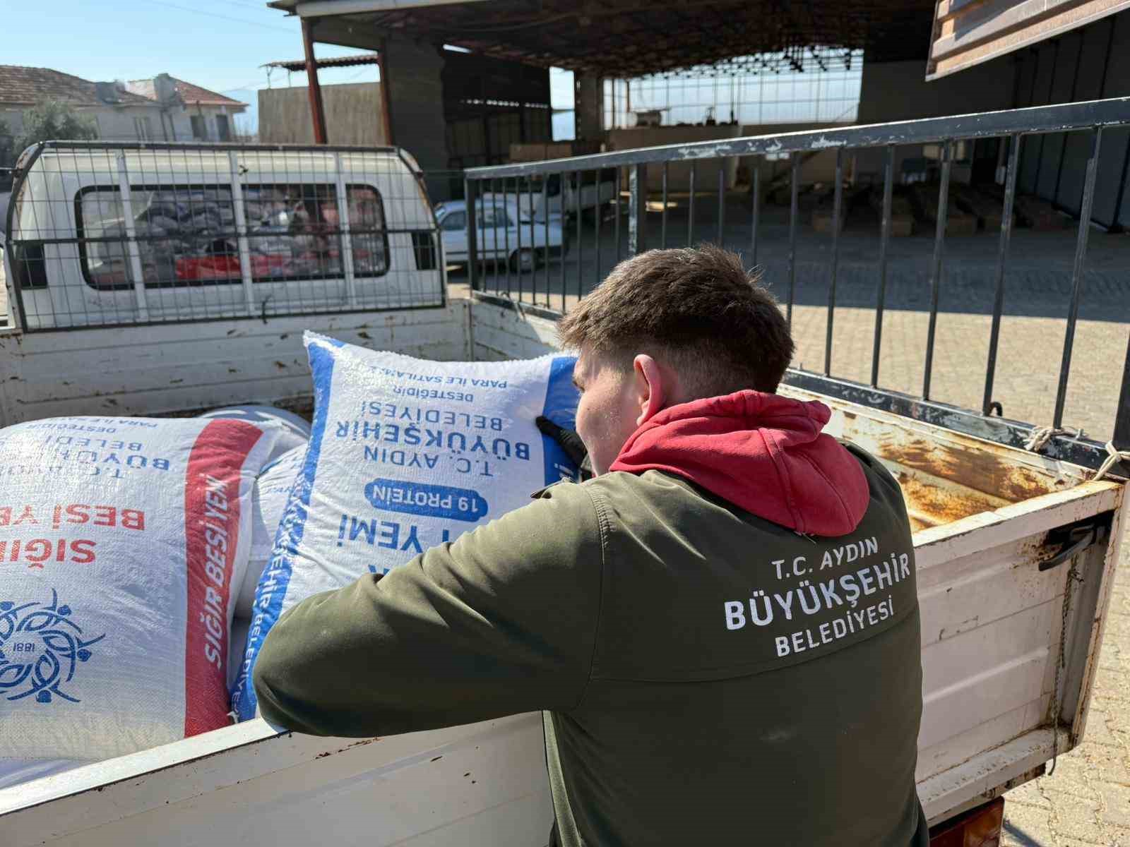 Başkan Çerçioğlu’ndan Karacasu’da küçük üreticilere yem desteği
