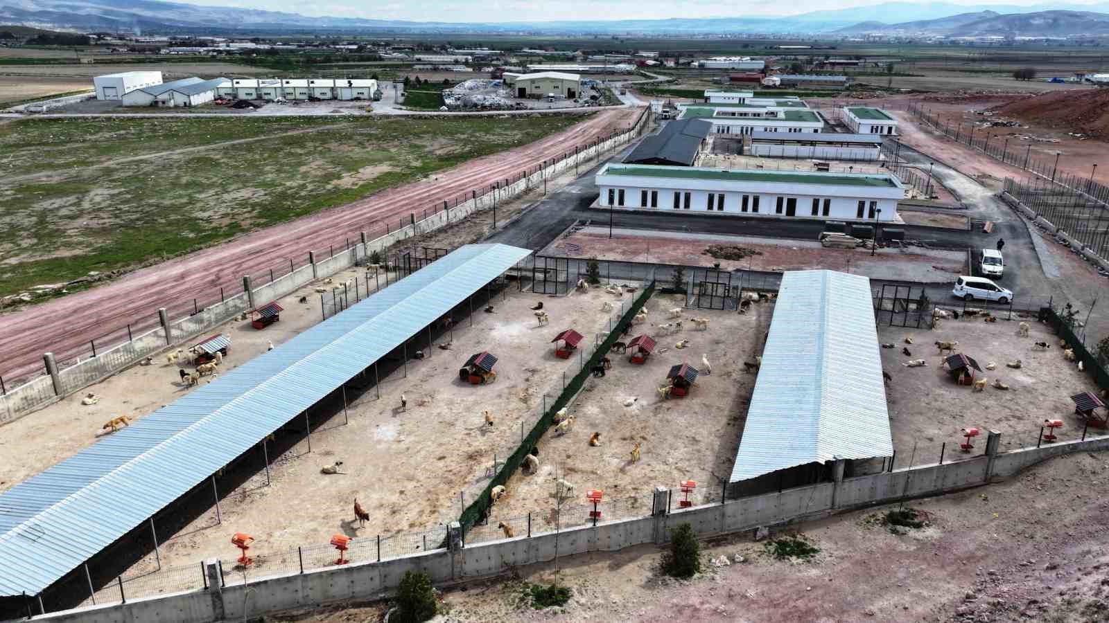 Başkan Çolakbayrakdar: "Kayseri’miz, model olacak modern hayvan bakımevi ile öncü bir şehir oluyor"
