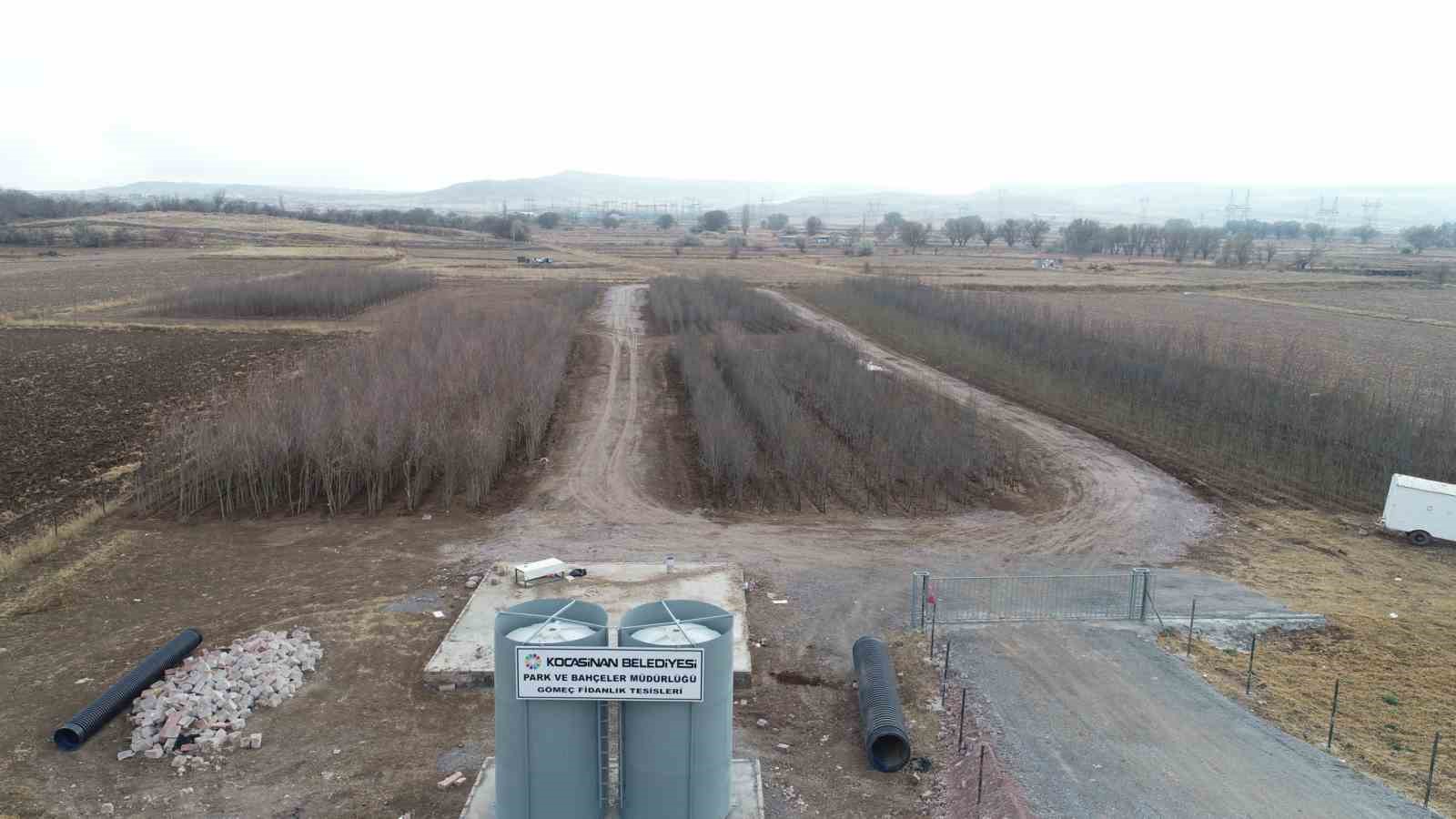 Başkan Çolakbayrakdar: "Şehrin yeşil geleceğini Kocasinan’da inşa ediyoruz"
