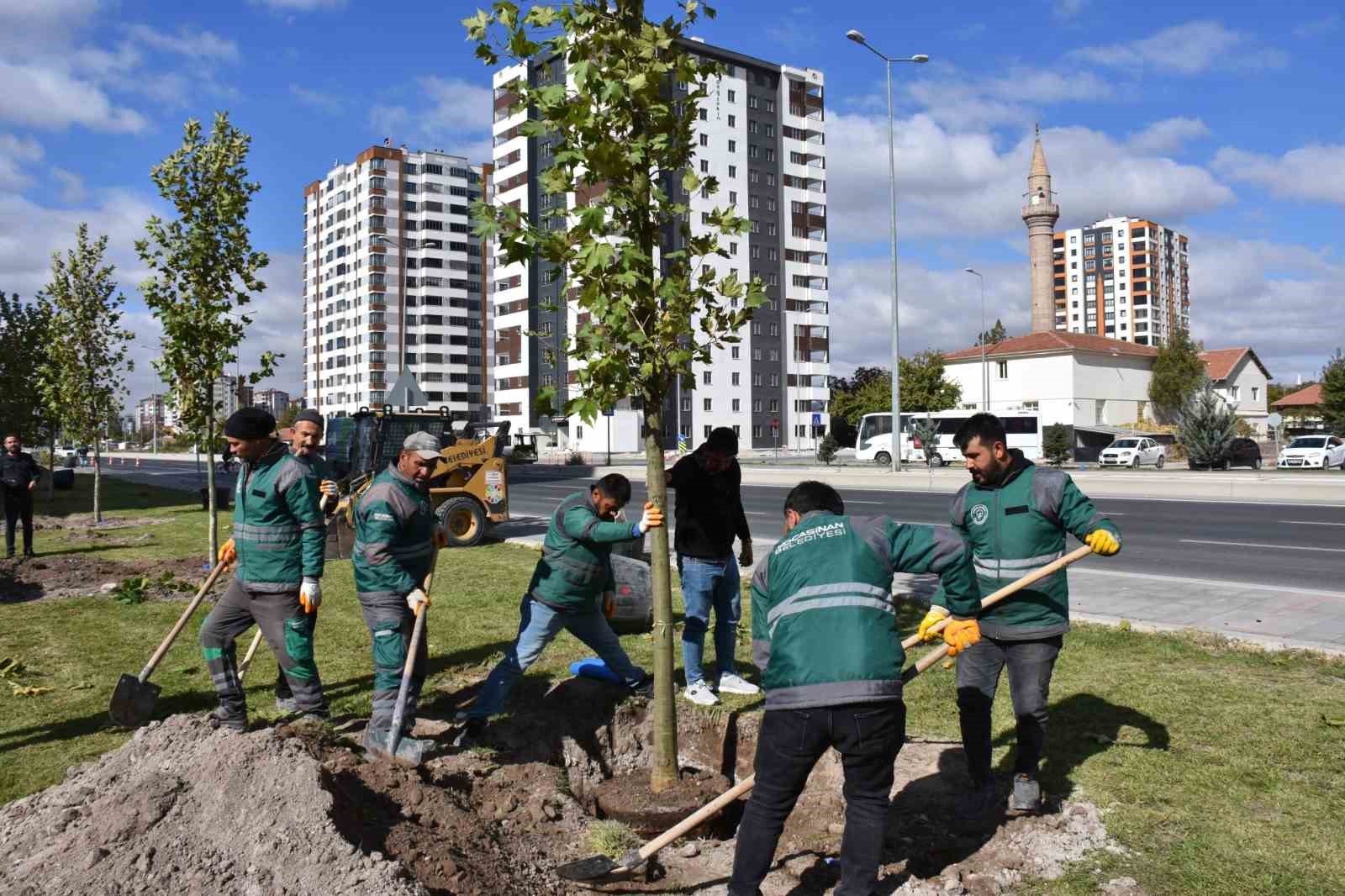 Başkan Çolakbayrakdar: "Türkiye’de ağaç dikmede rekor kırdık, şimdi yeni bir rekor için çalışıyoruz"

