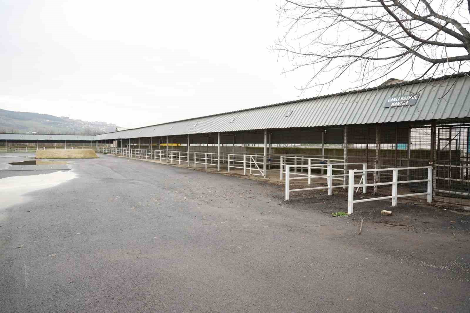 Başkan devreye girdi, canlı hayvan pazarı yeniden açıldı
