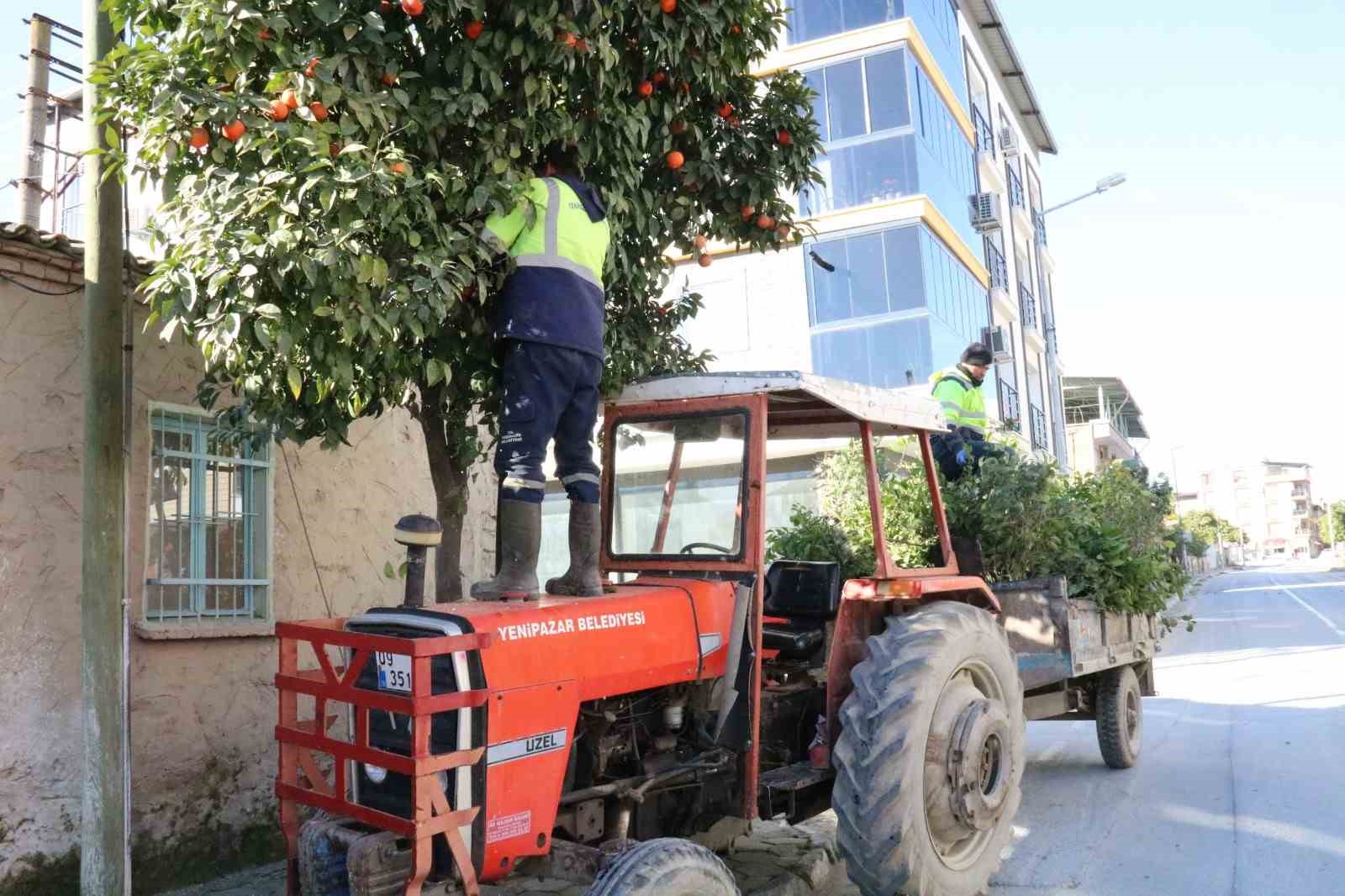 Başkan Ercan, gençlerin talebini yerine getirdi
