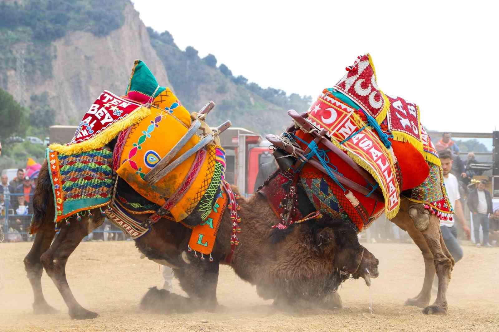 Başkan Güler: "Kültürümüzün önemli bir parçasını büyük bir coşkuyla tamamladık"
