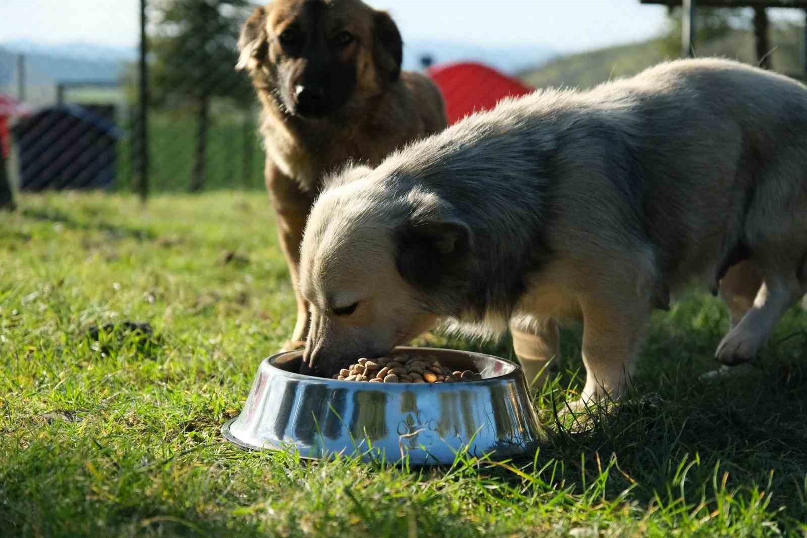 Başkan Hakan Şehirli iki yılı değerlendirdi
Başkan Hakan Şehirli iki yılı değerlendirdi