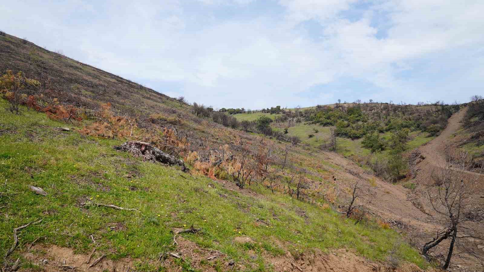 Başkan Işık’tan yeşil Gürsu çağrısı
