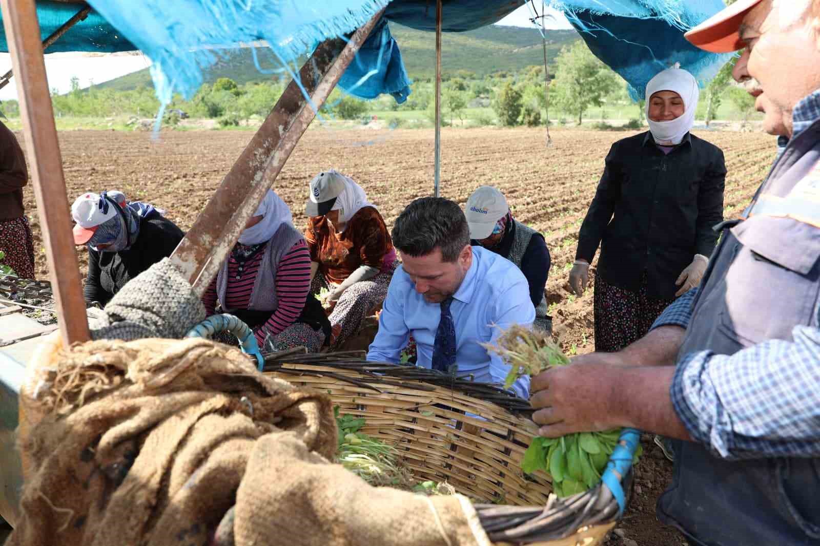 Başkan Tatık’tan tütün firmalarına ’Alım takvimi açıklayın’ çağrısı
