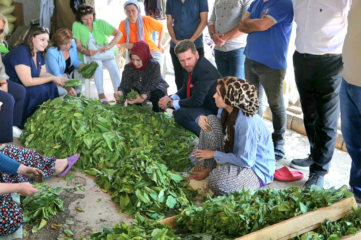 Başkan Tatık’tan tütün firmalarına ’Alım takvimi açıklayın’ çağrısı
