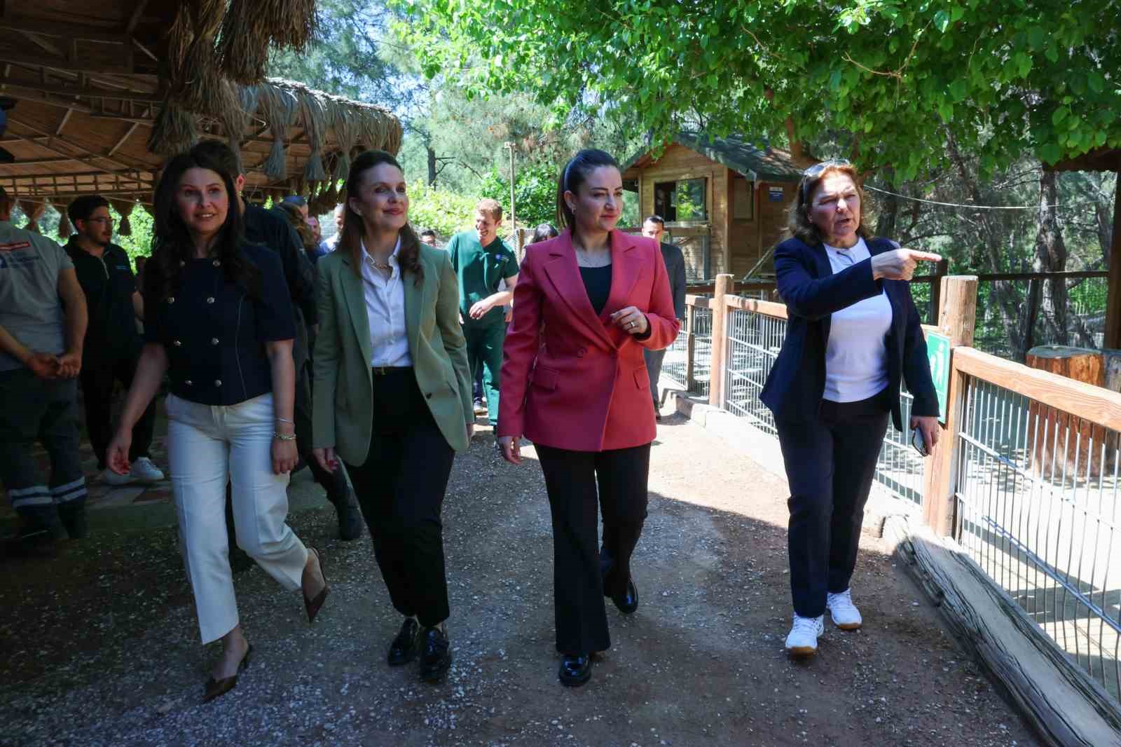 Başkan Vekili Büşra Özdemir: "Veteriner hekimlerin üstlendikleri sorumluluk çok kıymetli"
