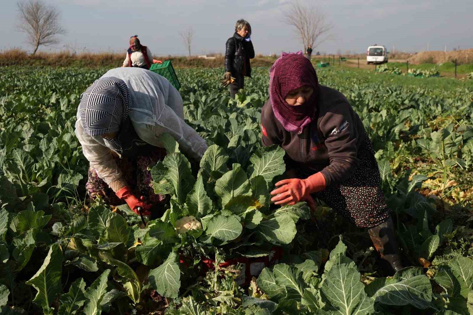 Başkan Yetişkin: "Efeler’i kadınların geleceğe umutla baktığı bir kent yapmak için çalışıyoruz"
