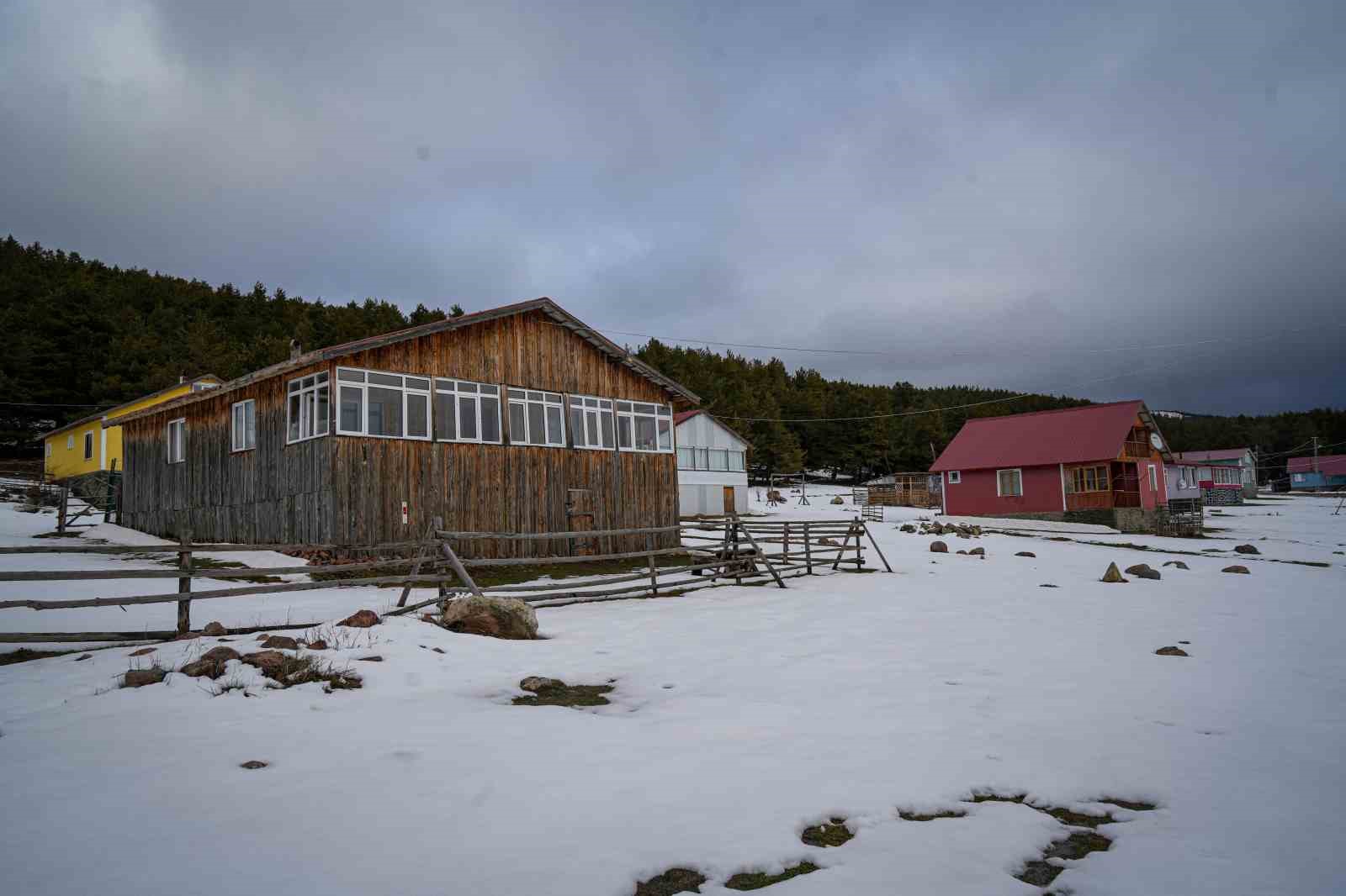 Başkent’in Karadeniz’i Benli Yaylası eşsiz doğasıyla ziyaretçilerini bekliyor
Başkent’in Karadeniz’i Benli Yaylası eşsiz doğasıyla ziyaretçilerini bekliyor