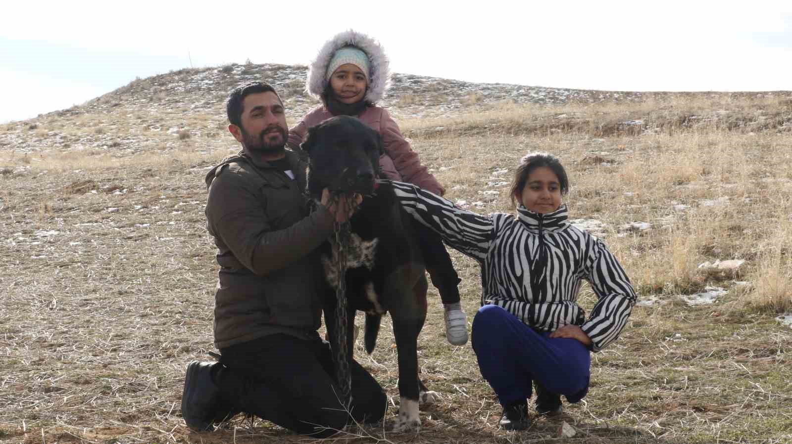 Başkentin siyah bekçileri: Haymana Karası
Başkentin siyah bekçileri: Haymana Karası