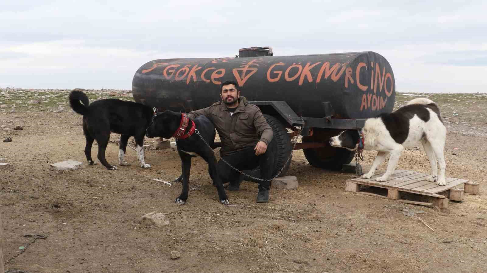 Başkentin siyah bekçileri: Haymana Karası
Başkentin siyah bekçileri: Haymana Karası