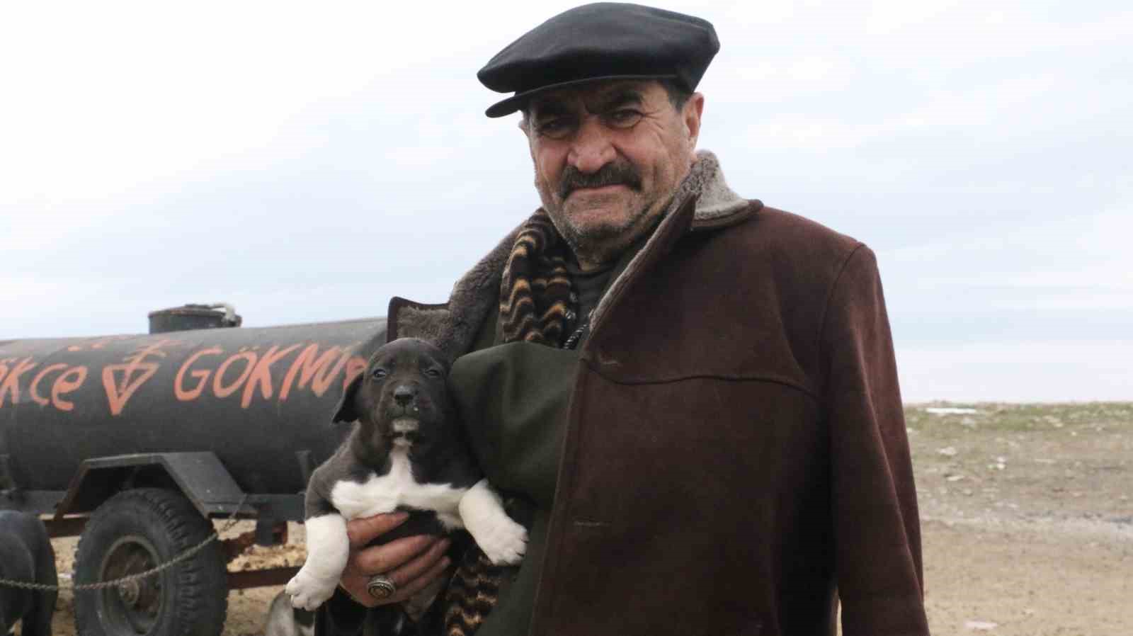 Başkentin siyah bekçileri: Haymana Karası
Başkentin siyah bekçileri: Haymana Karası