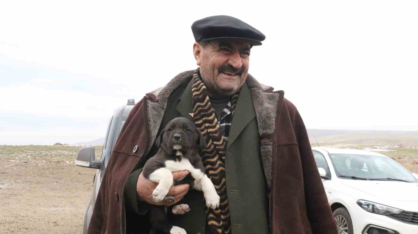 Başkentin siyah bekçileri: Haymana Karası
Başkentin siyah bekçileri: Haymana Karası