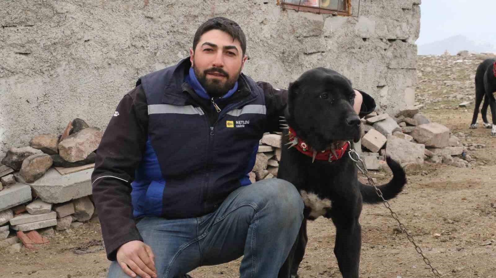 Başkentin siyah bekçileri: Haymana Karası
Başkentin siyah bekçileri: Haymana Karası