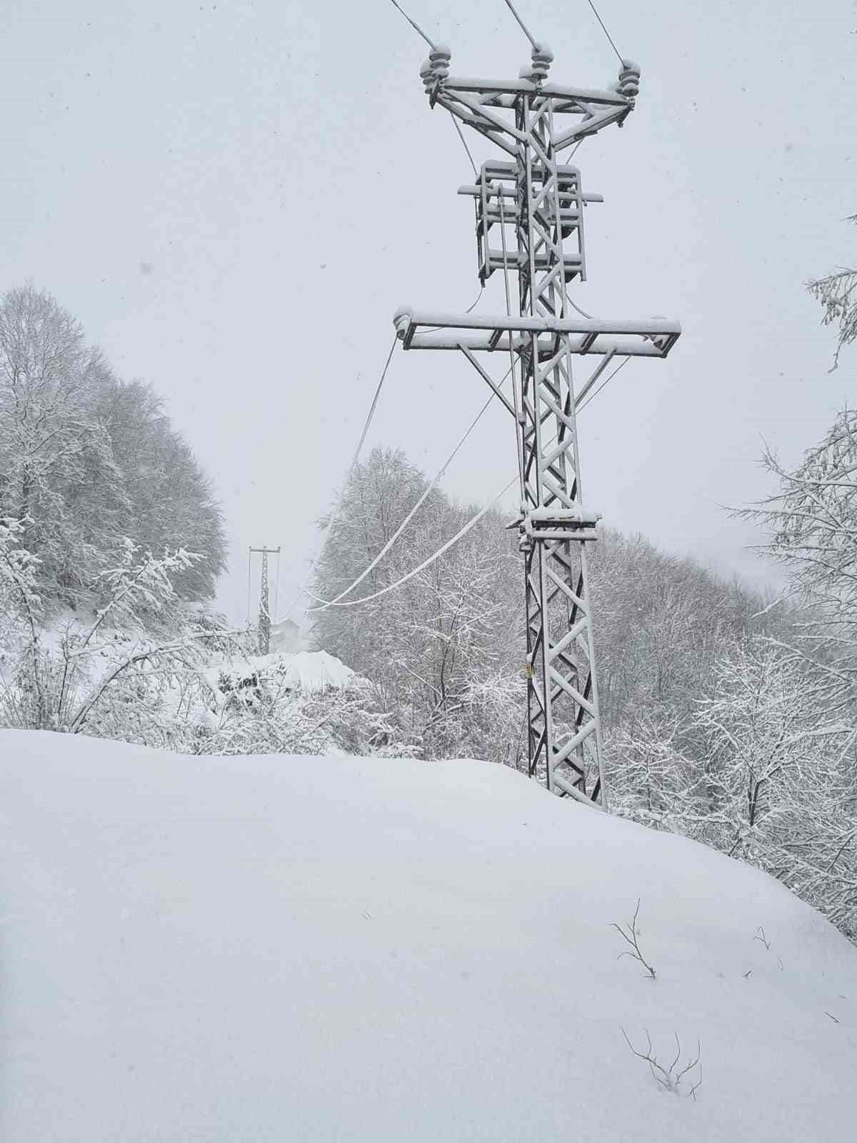 Batı Karadeniz’de kışa meydan okuyan enerji mesaisi
