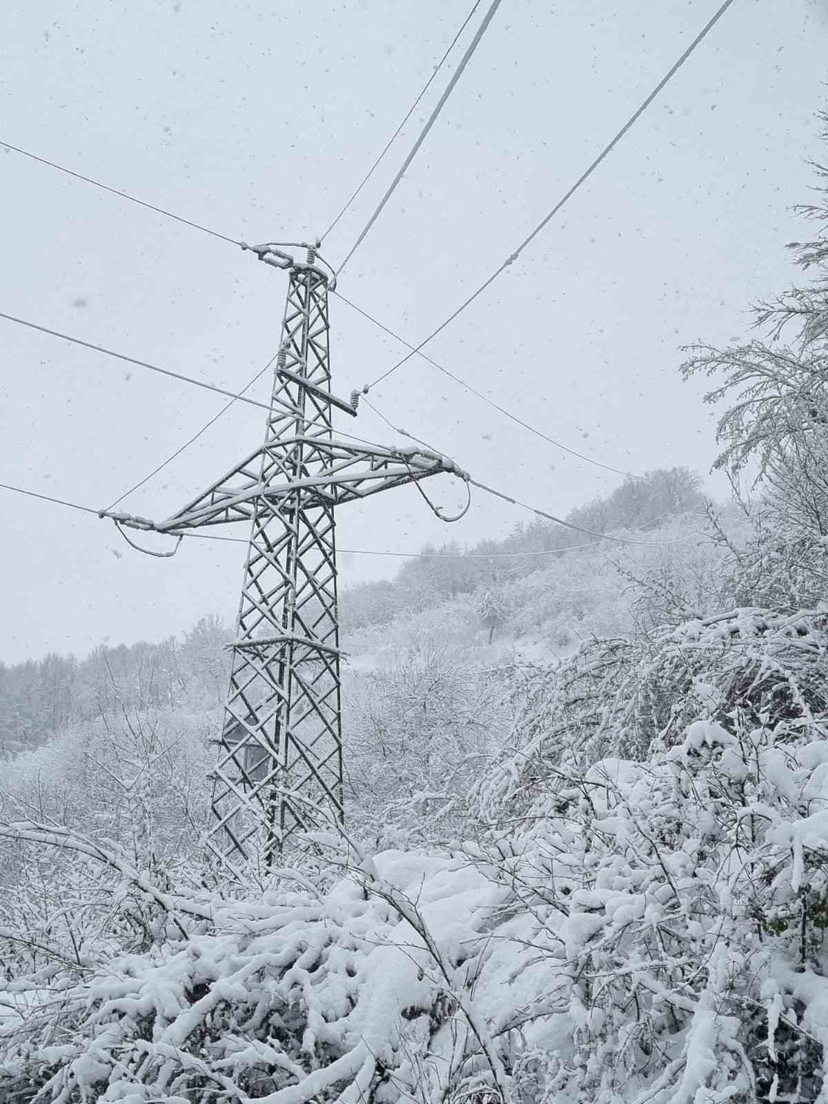 Batı Karadeniz’de kışa meydan okuyan enerji mesaisi
