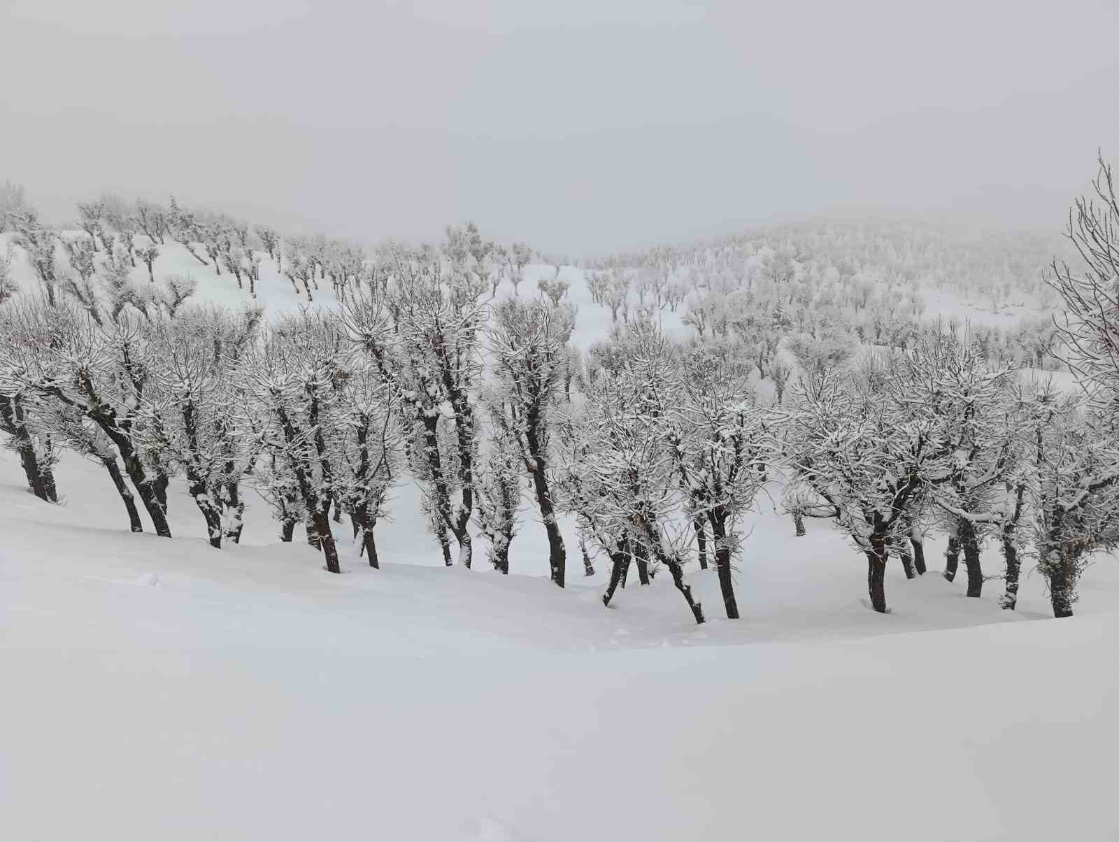 Batman kırsalında kar kalınlığı 1 metreyi aştı, yollar kapandı
