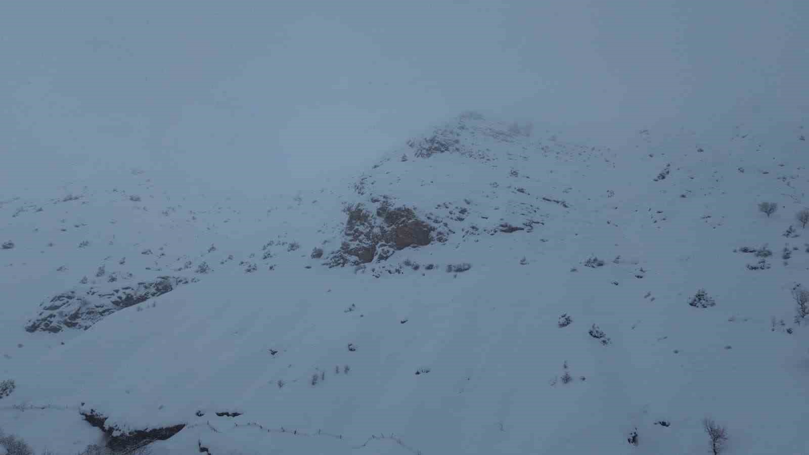 Batman’da ağıla çığ düştü: 45 küçükbaş hayvan telef oldu
