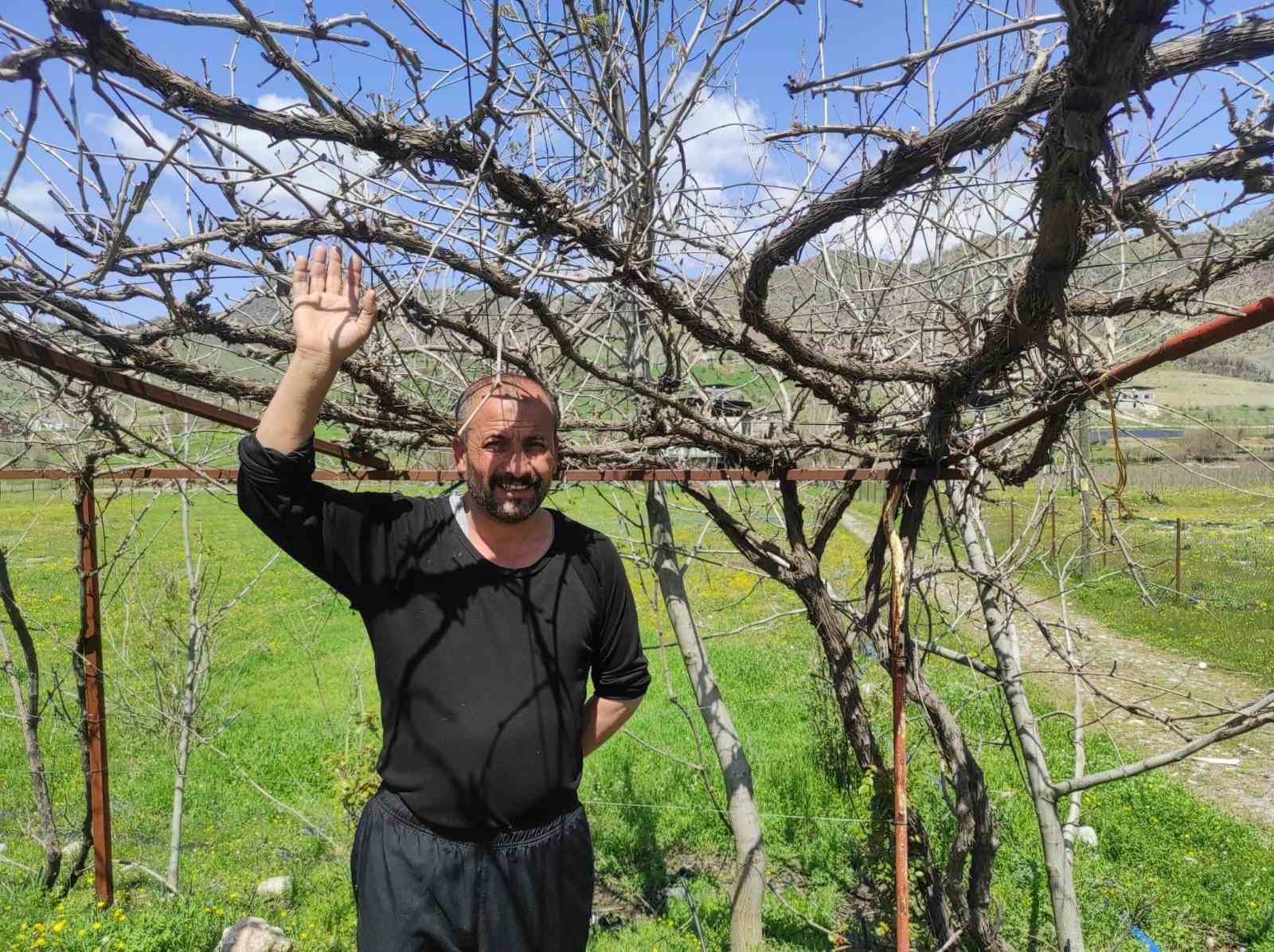 Batman’da ani hava değişimleri meyve bahçelerini vurdu
