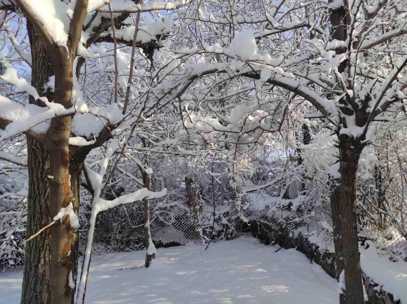 Batman’da ani hava değişimleri meyve bahçelerini vurdu
