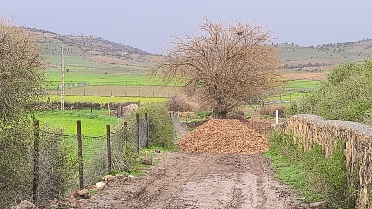 Batman’da araçta mahsur kalan hastanın yardımına ekipler koştu
