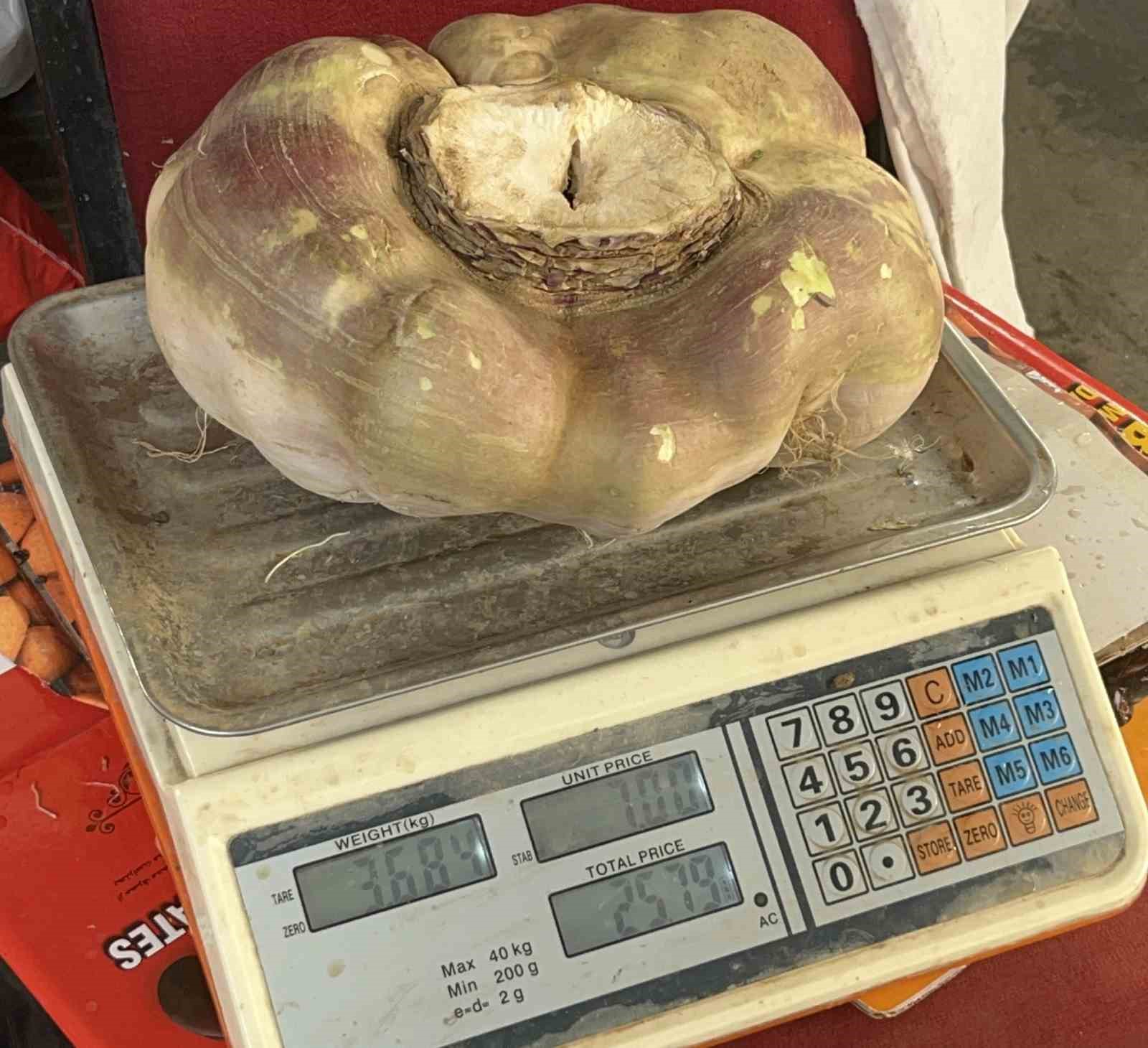 Batman’da dev turp görenleri şaşırttı
Batman’da dev turp görenleri şaşırttı