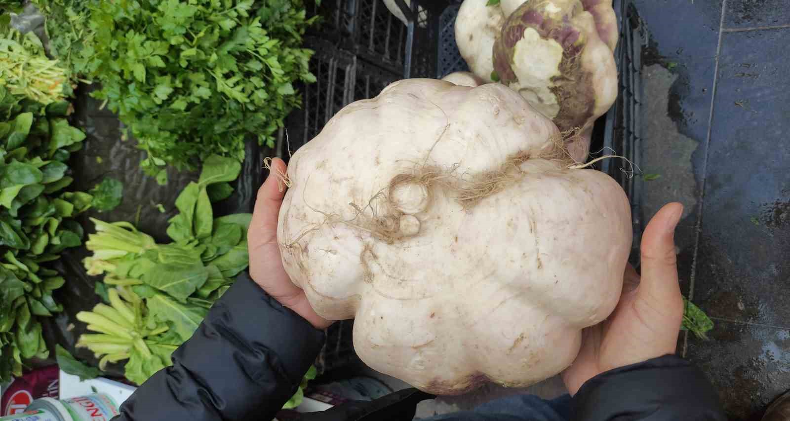 Batman’da dev turp görenleri şaşırttı
Batman’da dev turp görenleri şaşırttı