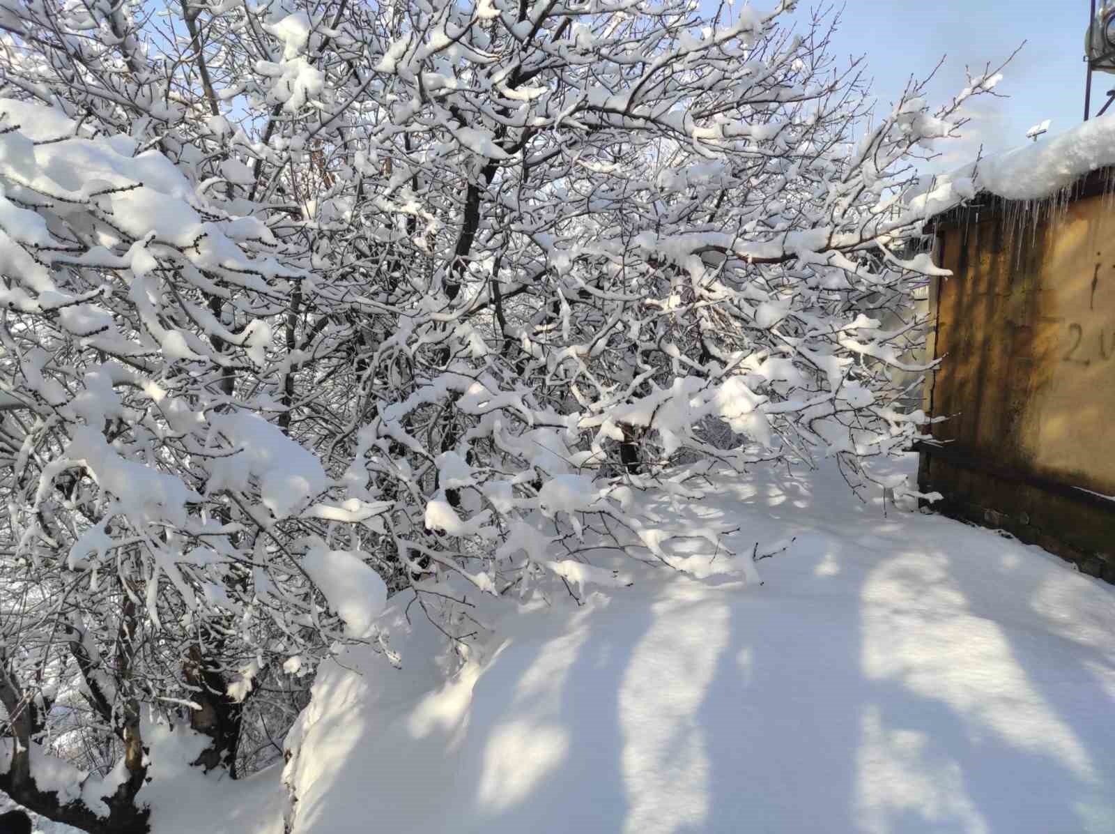 Batman’da kar yağışı hayatı olumsuz etkiledi
