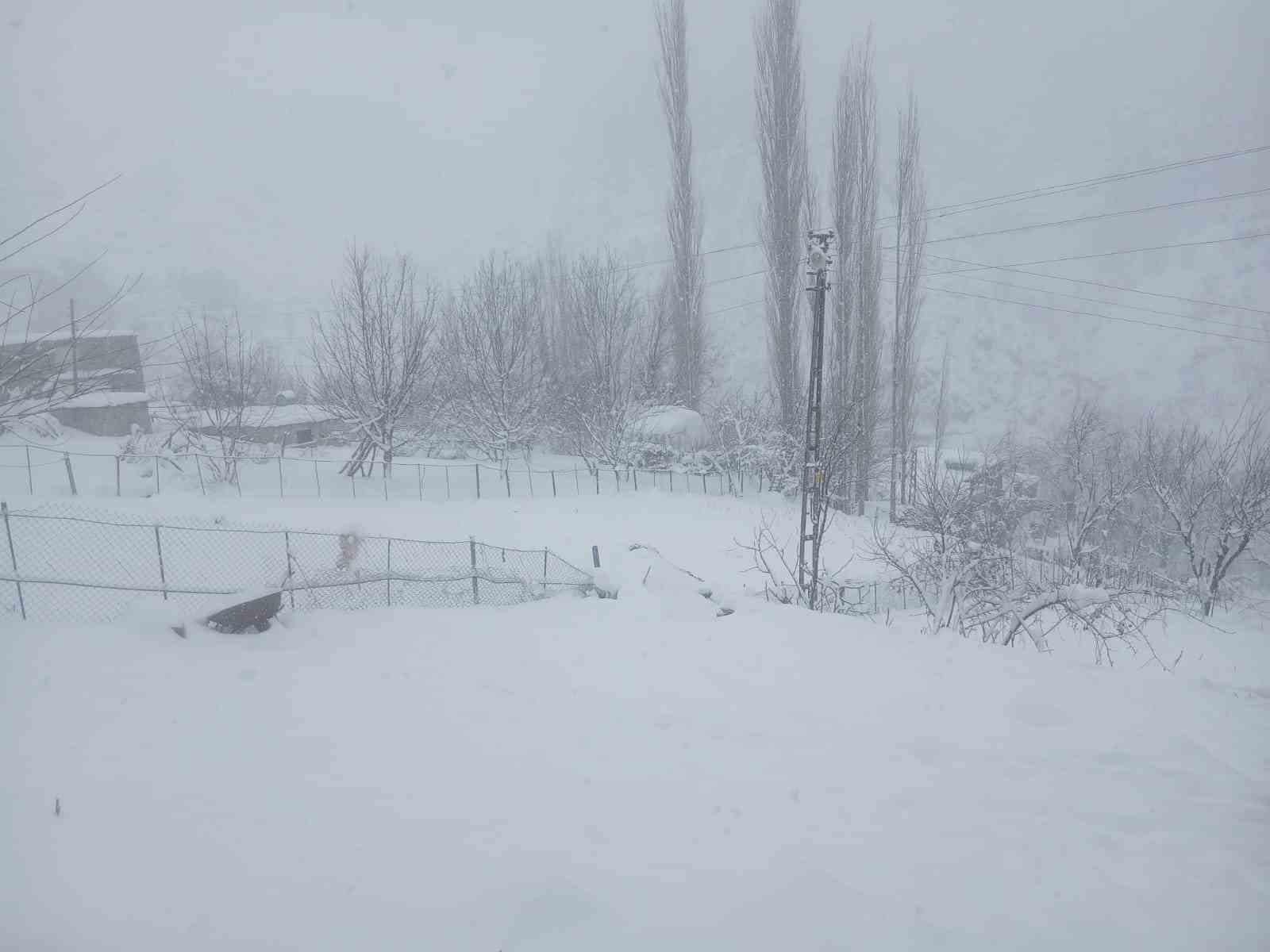 Batman’da kar yağışı hayatı olumsuz etkiledi
